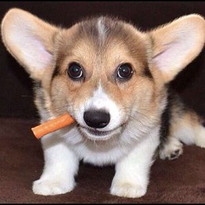 Meet your Posher, Ashlee